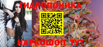 spice Дубна