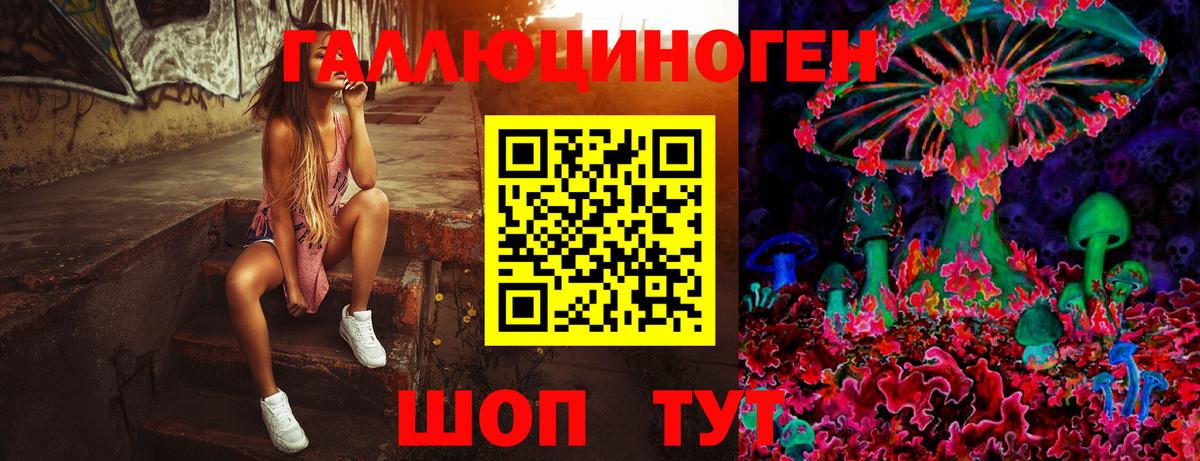 Псилоцибиновые грибы Cubensis  Вход с VPN  Галлюциногенные грибы MAGIC MUSHROOMS  Кинешма 